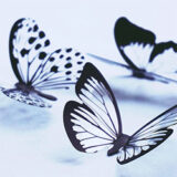 vlinders in je buik